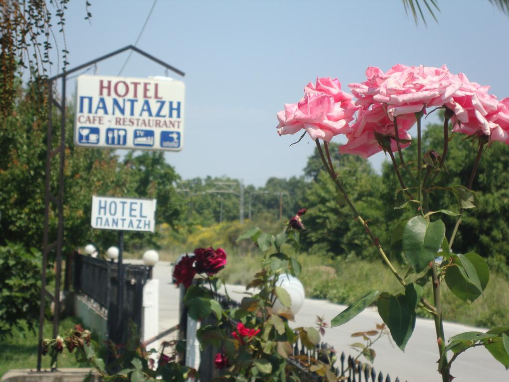 Hotel Pantazis Paralia Panteleimonos Extérieur photo